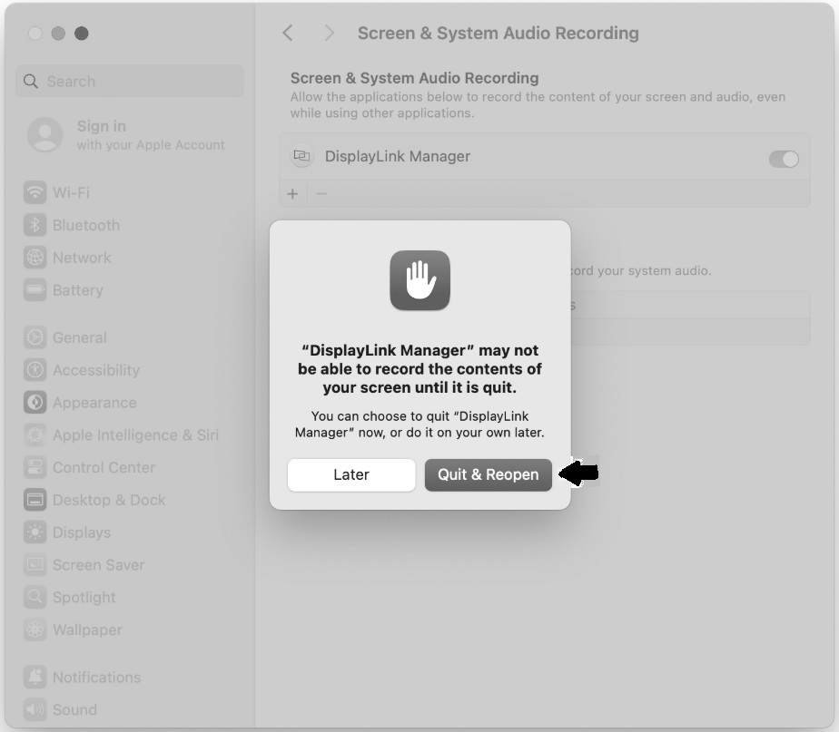 DisplayLink_13.jpg